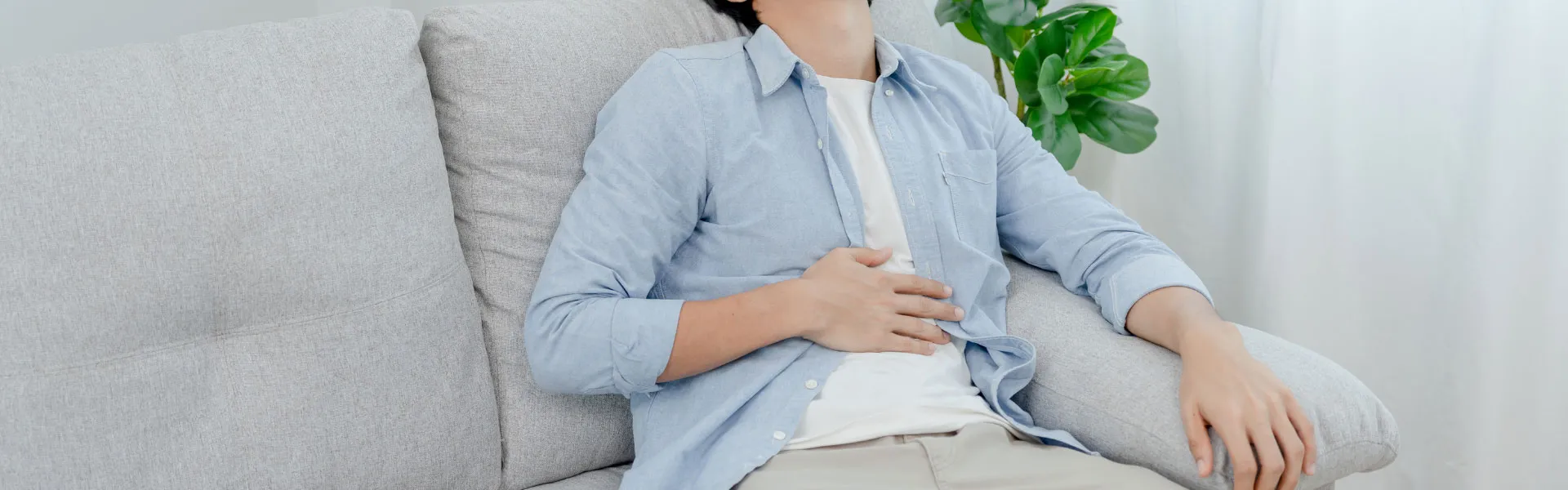 Pricelist Top Bali Belly Image